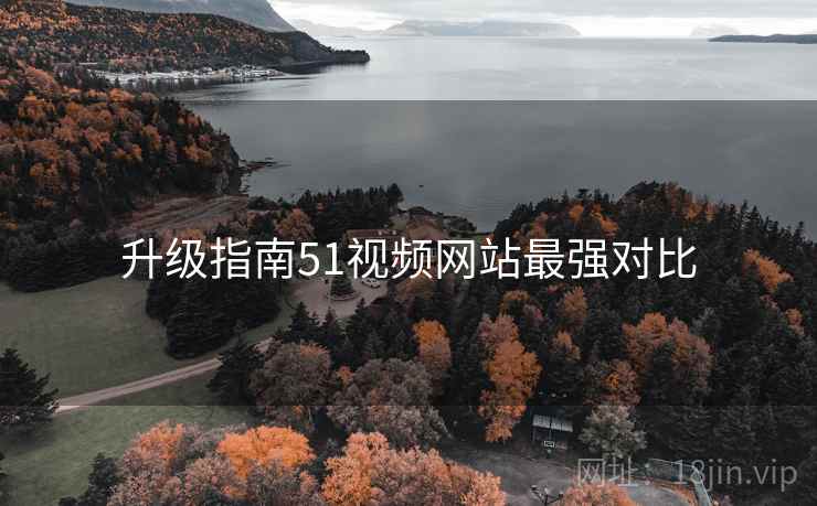 升级指南51视频网站最强对比