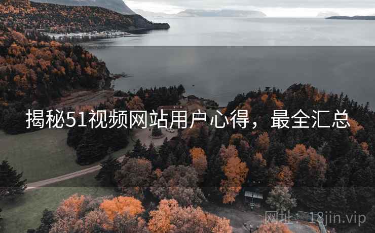 揭秘51视频网站用户心得，最全汇总