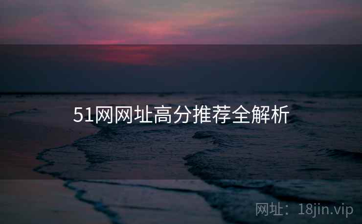 51网网址高分推荐全解析
