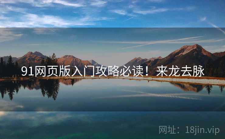 91网页版入门攻略必读！来龙去脉