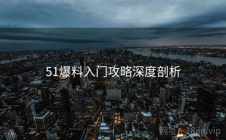 51爆料入门攻略深度剖析