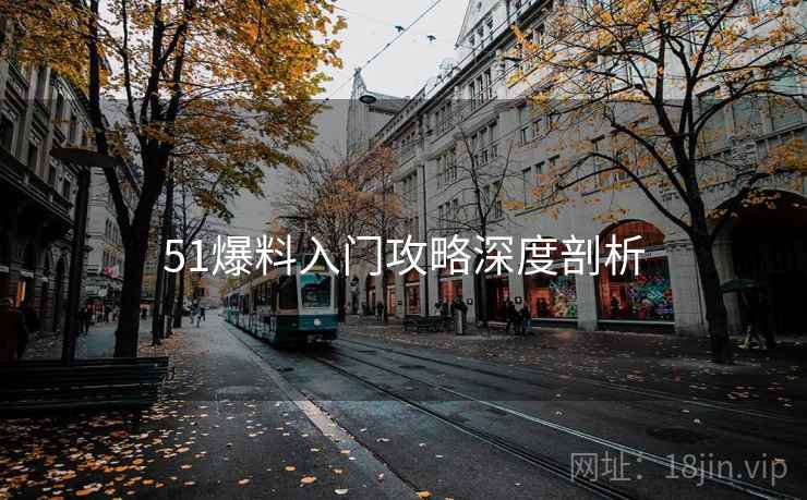 51爆料入门攻略深度剖析