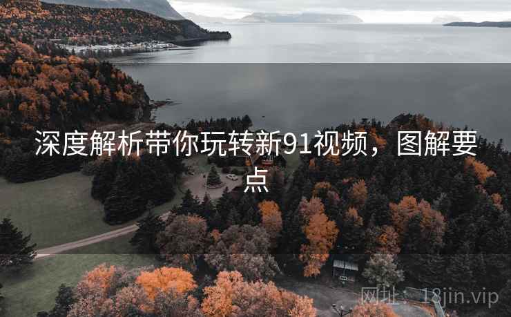 深度解析带你玩转新91视频，图解要点