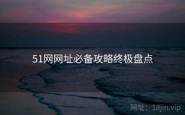 51网网址必备攻略终极盘点