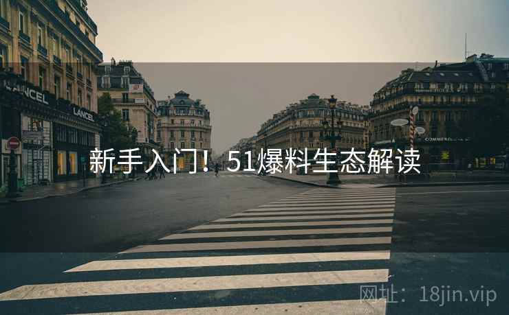 新手入门！51爆料生态解读