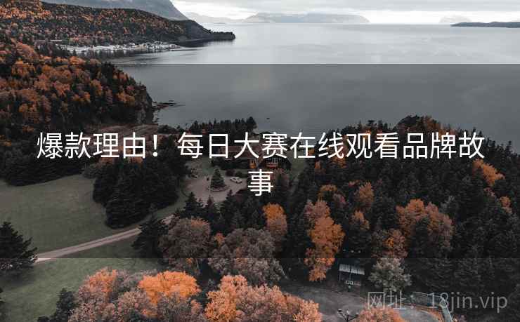 爆款理由！每日大赛在线观看品牌故事