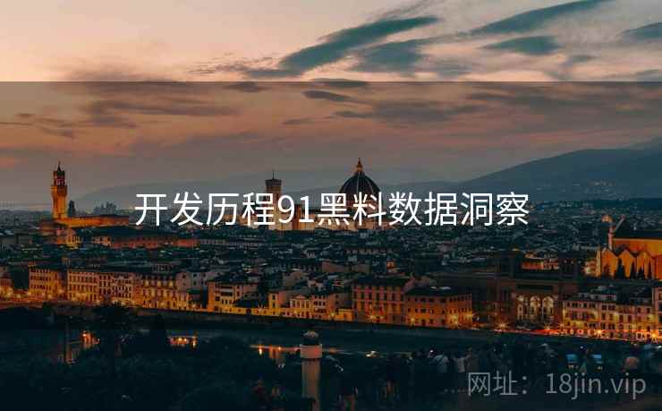 开发历程91黑料数据洞察