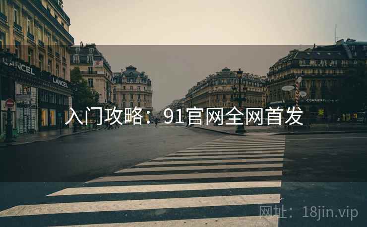 入门攻略：91官网全网首发