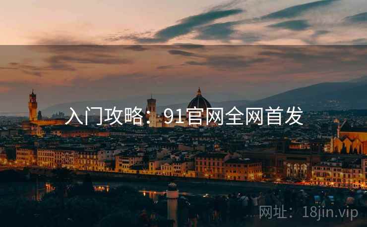 入门攻略：91官网全网首发