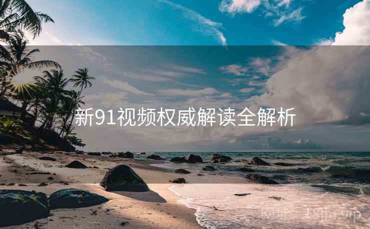 新91视频权威解读全解析