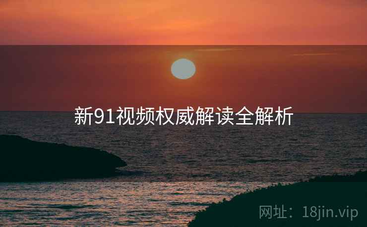 新91视频权威解读全解析