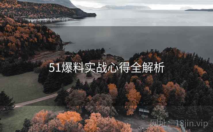 51爆料实战心得全解析