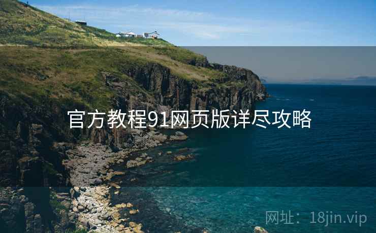 官方教程91网页版详尽攻略