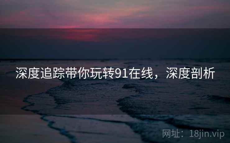 深度追踪带你玩转91在线，深度剖析